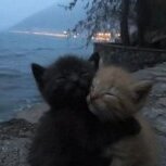 Hooman_Monster